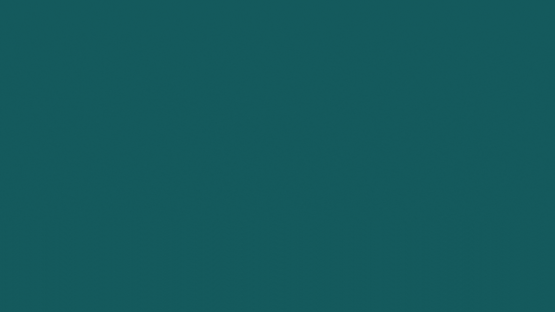 SparkleHub - On-Demand Service App for Car, Bike and Home | Multi-Franchise App